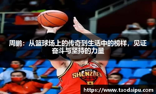 bsports官网登录入口