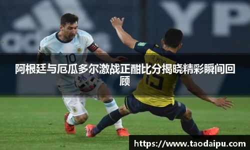 bsports官网登录入口